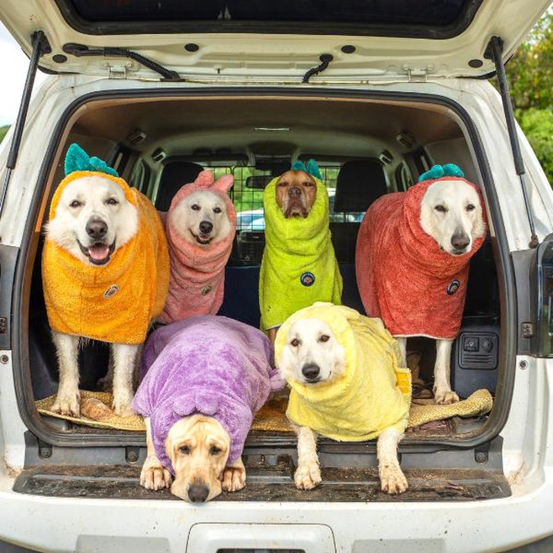 Transform Your Pup's Bath Time with the DERPY CHAPPY Premium Microfiber Dog Towel Robe - Ultra-Absorbent, Quick-Dry Comfort for Dogs & Cats of All Sizes!
