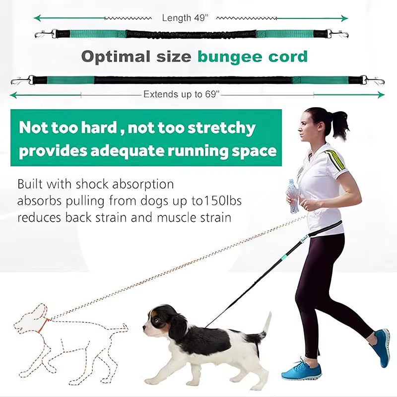Enjoy Hands-Free Adventures with Our Adjustable Dog Leash – Perfect for Walking, Running, and Jogging!